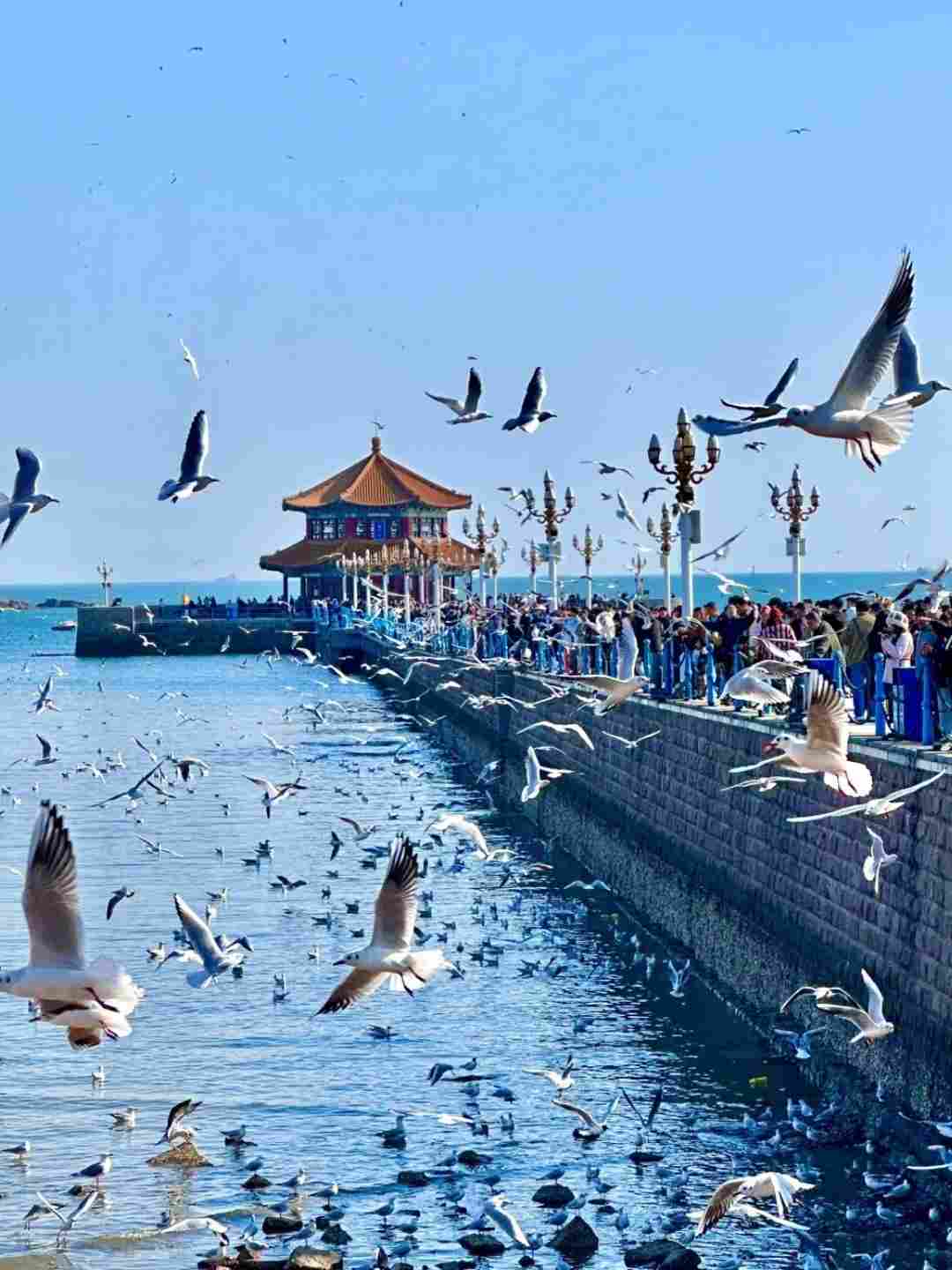 Zhanqiao